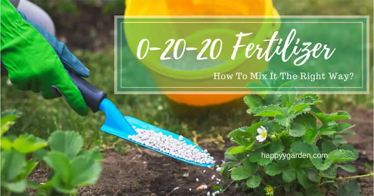 0-20-20 Fertilizer