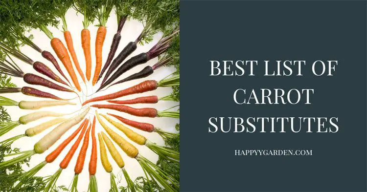 top-5-best-list-of-carrot-substitutes