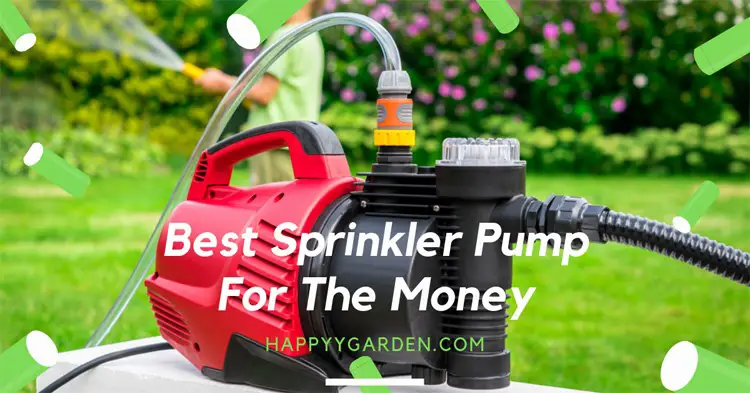 Best-Sprinkler-Pump-for-the-Money