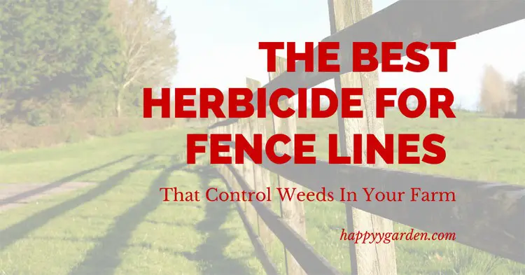 The-best-herbicide-for-fence-lines