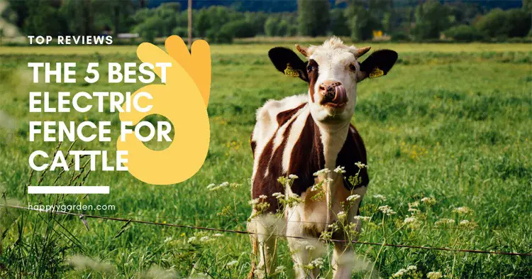 Find Out: The 5 Best Electric Fence For Cattle Reviews