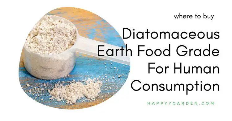 where-to-buy-the-best-diatomaceous-earth-food-grade-for-human-consumption