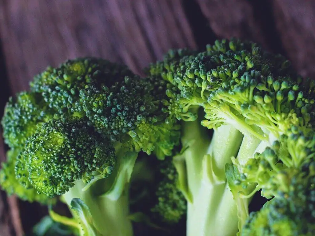 Growing Broccolini – Harvesting