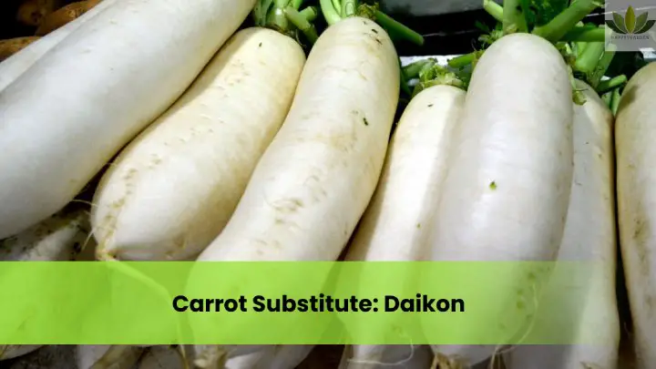 Carrot Substitute Daikon