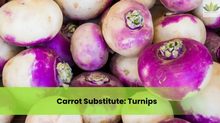 Carrot Substitute Turnips